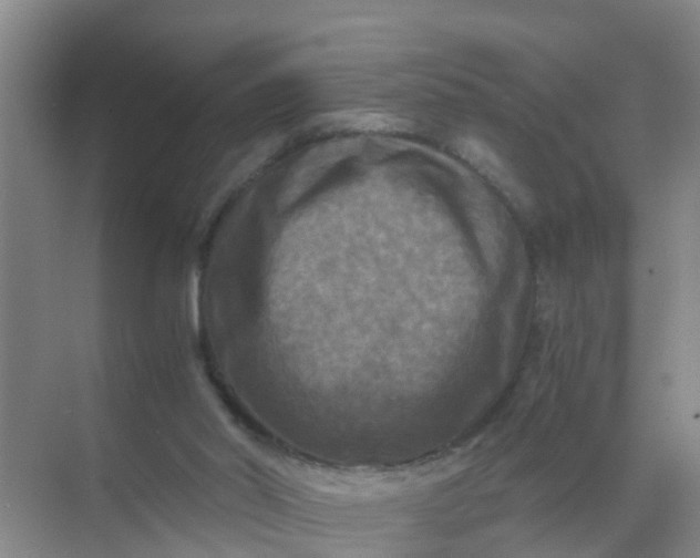 X0000071760014200607150014