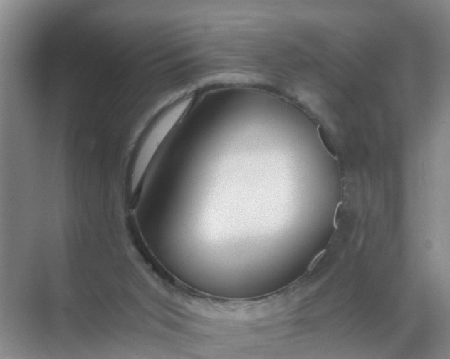 X0000071760015200607150014