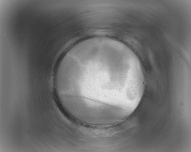 X0000071760016200607150014