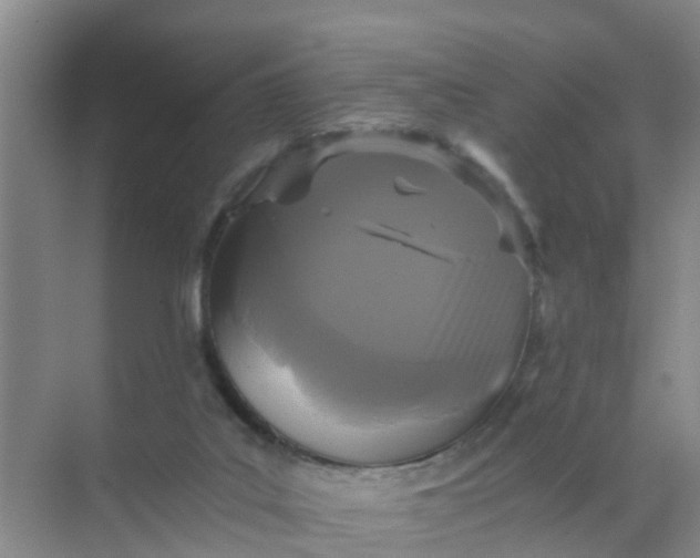 X0000071760019200607150014