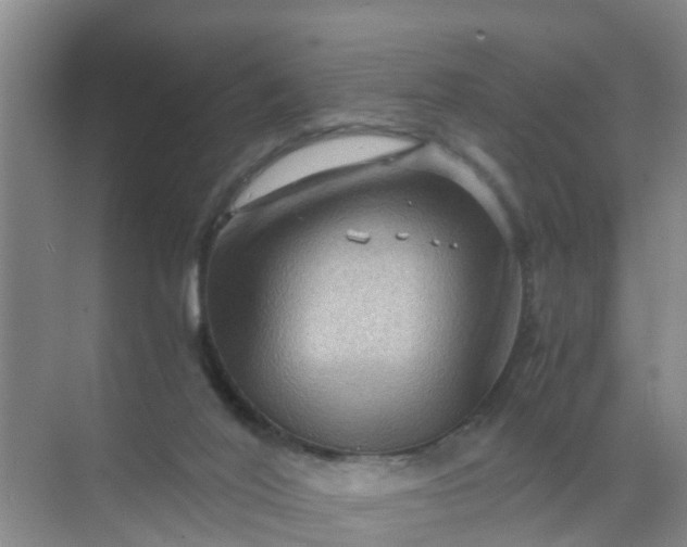 X0000071760020200607150014