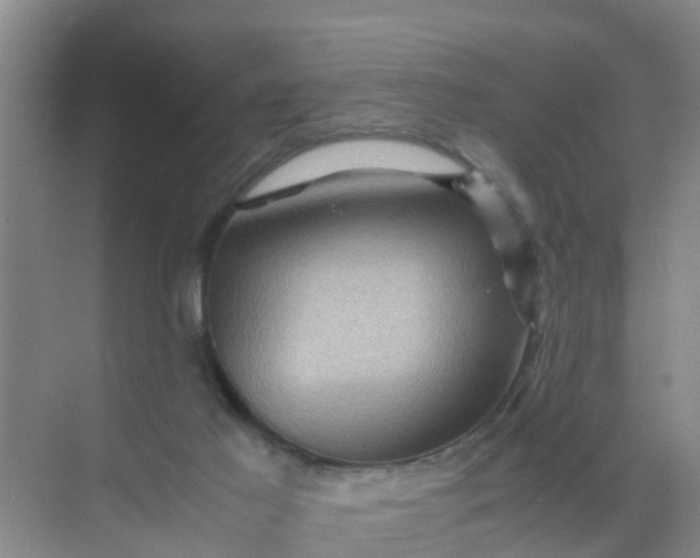 X0000071760021200607150014