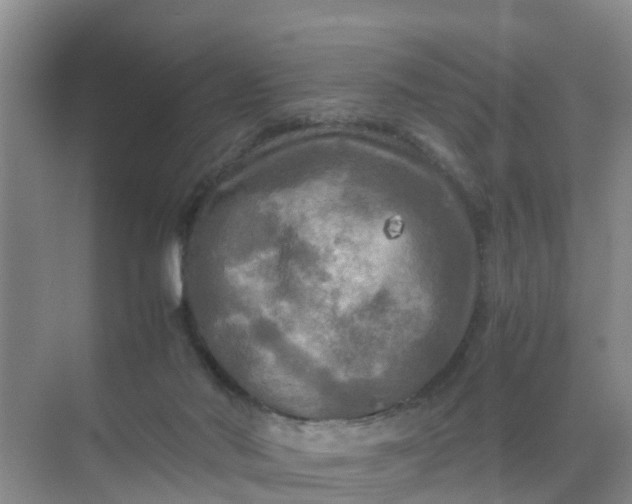 X0000071760022200607150014