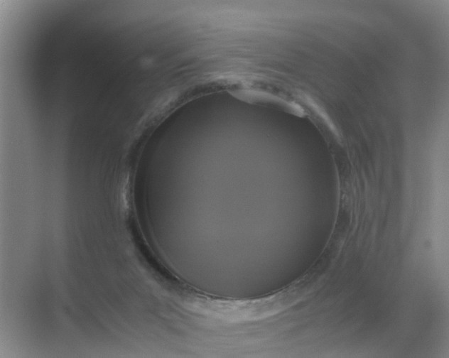 X0000071760023200607150014