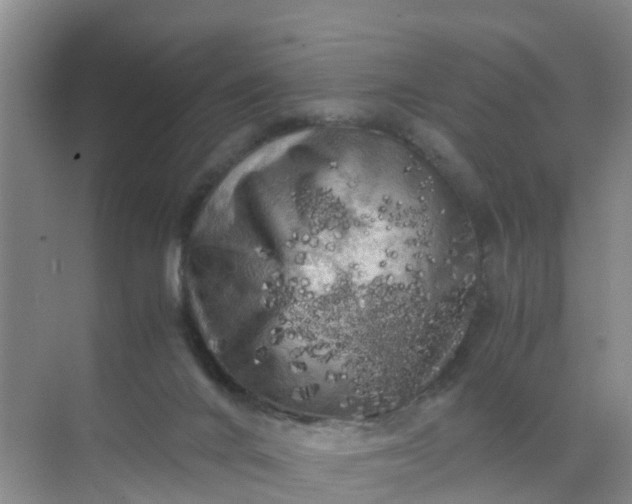 X0000071760024200607150014