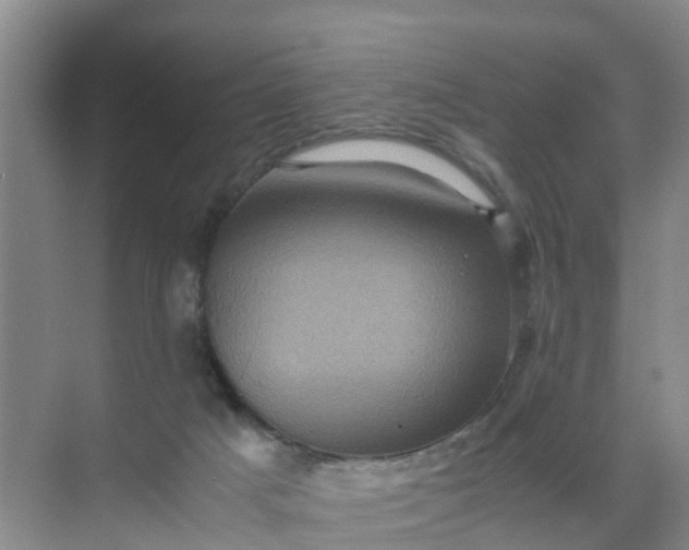 X0000071760025200607150014