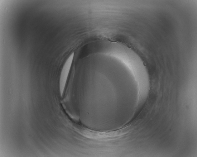 X0000071760027200607150014