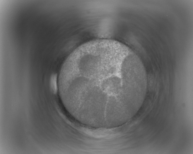 X0000071760028200607150014