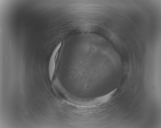 X0000071760029200607150014