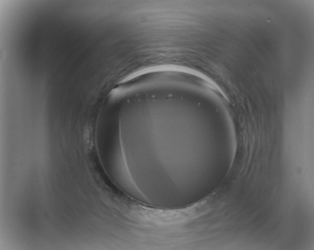 X0000071760031200607150014