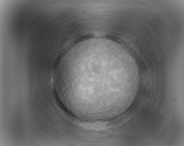 X0000071760032200607150014