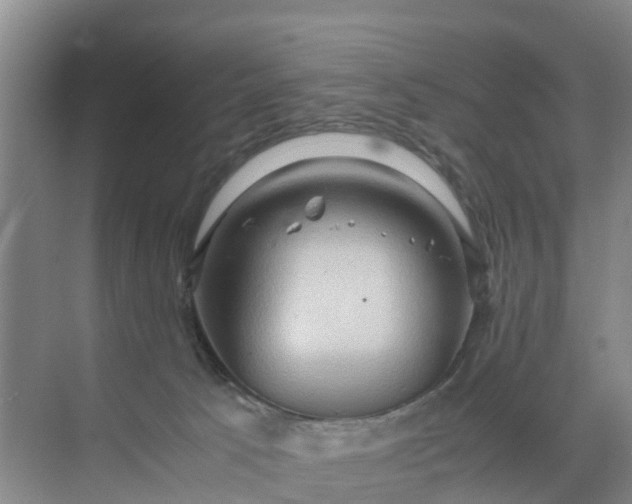 X0000071760033200607150014