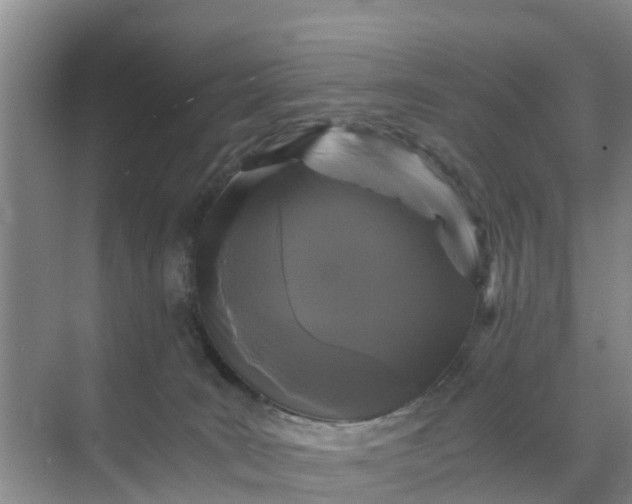 X0000071760035200607150014