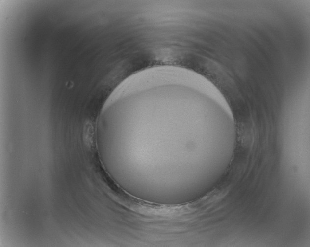 X0000071760036200607150014