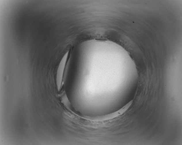 X0000071760037200607150014