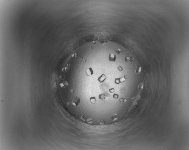 X0000071760038200607150014