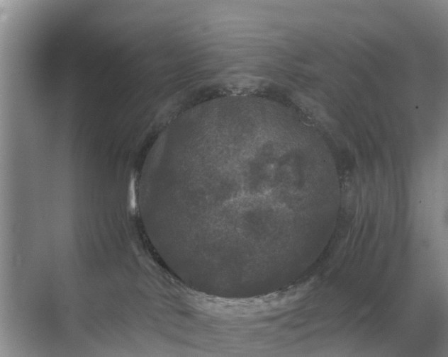 X0000071760042200607150014