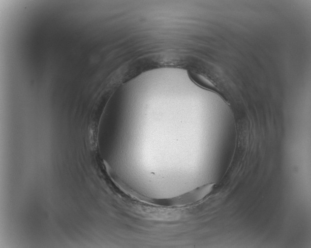 X0000071760044200607150014