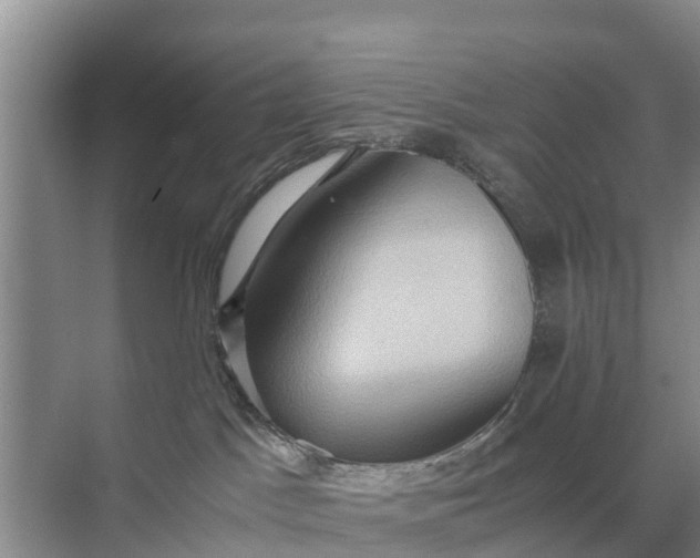 X0000071760045200607150014