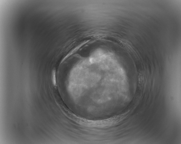 X0000071760046200607150014