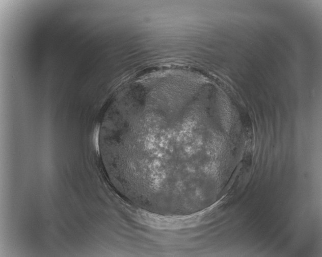 X0000071760047200607150014