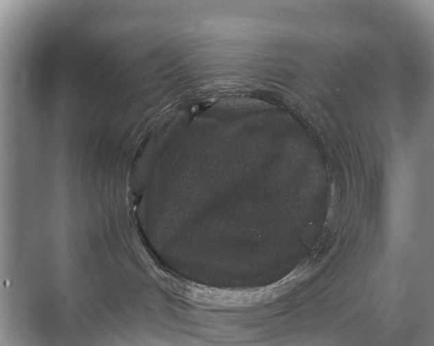 X0000071760048200607150013