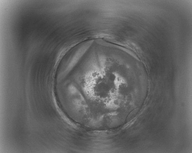 X0000071760049200607150013