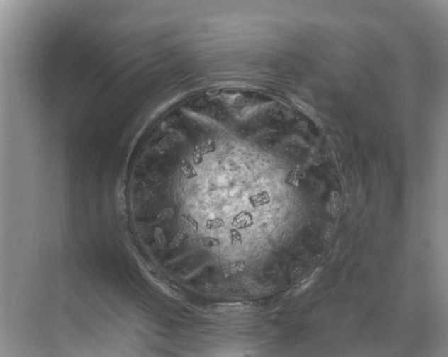 X0000071760050200607150013