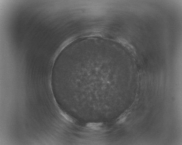 X0000071760051200607150013