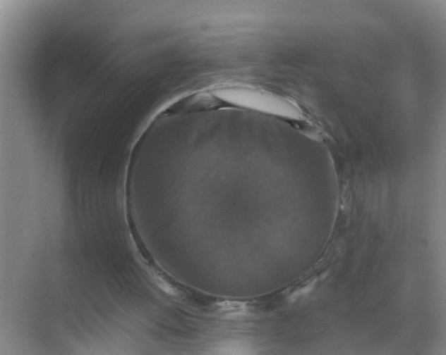 X0000071760052200607150013