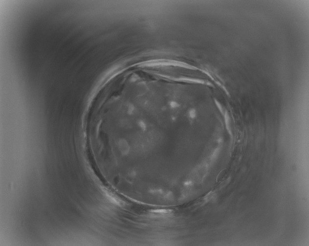 X0000071760053200607150013