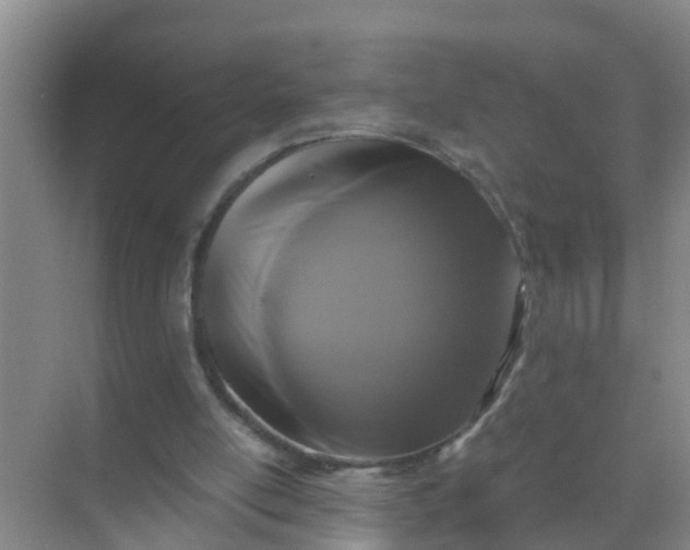 X0000071760054200607150013