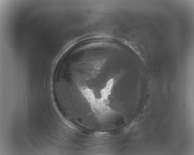 X0000071760055200607150013