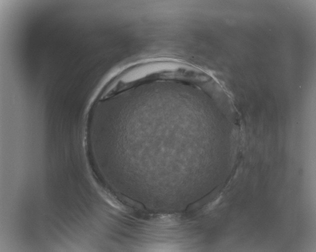 X0000071760056200607150013