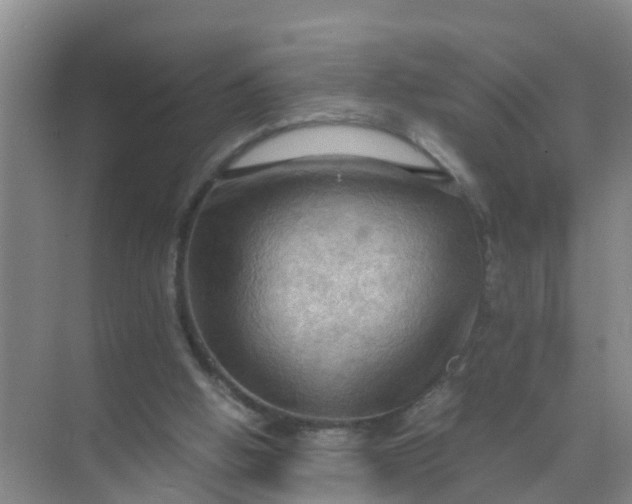 X0000071760058200607150013