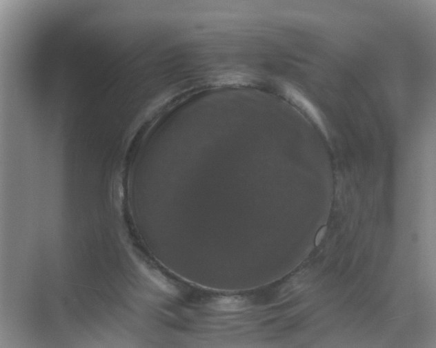 X0000071760059200607150013