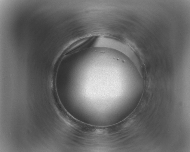 X0000071760060200607150013