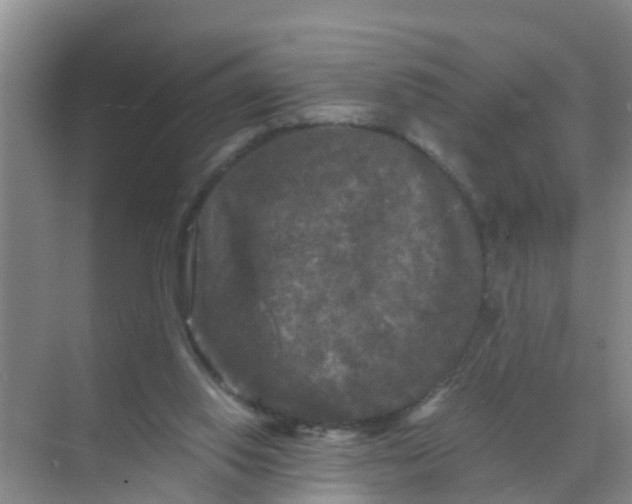 X0000071760062200607150013