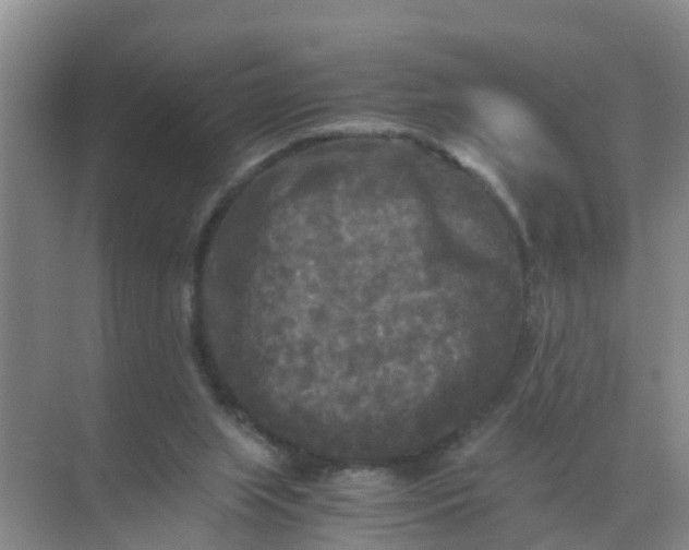 X0000071760063200607150013