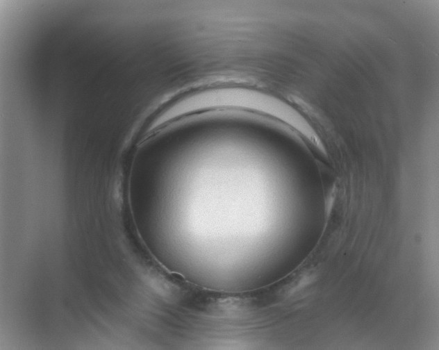 X0000071760064200607150013