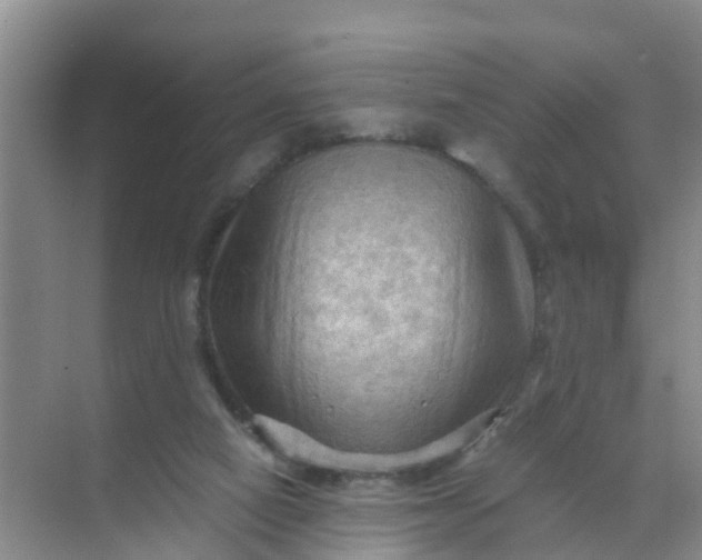 X0000071760066200607150013