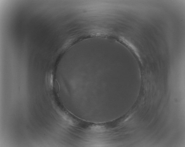 X0000071760067200607150013