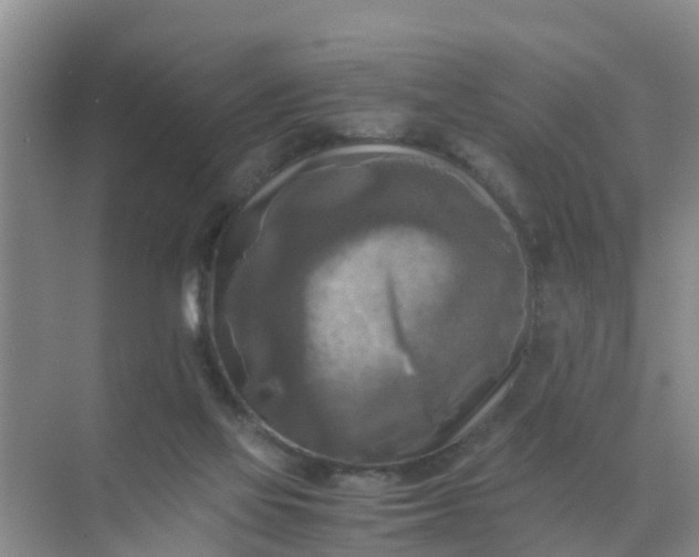 X0000071760069200607150013