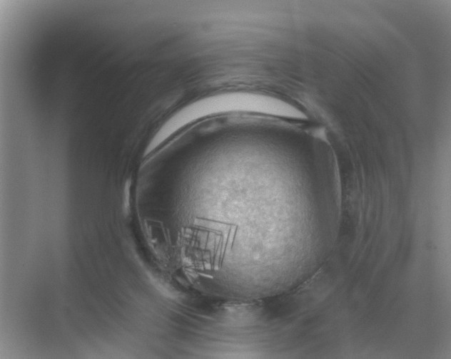 X0000071760070200607150013