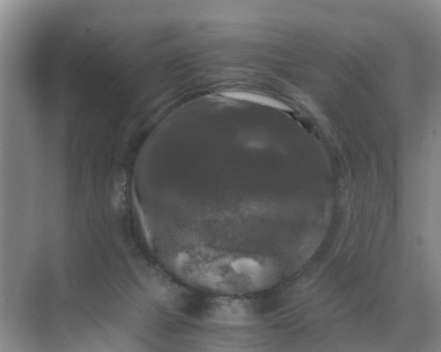 X0000071760073200607150013