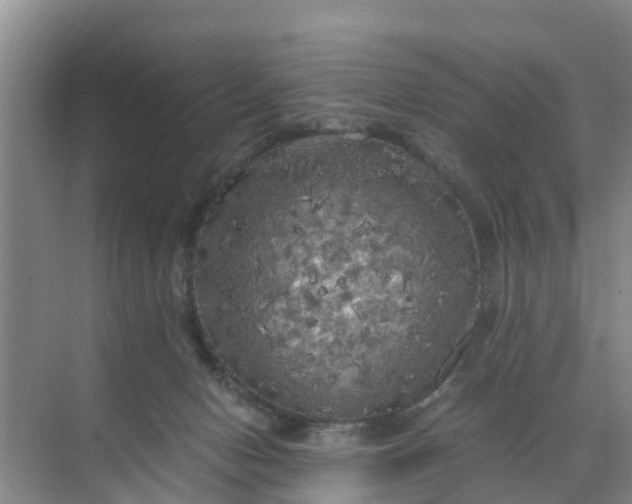 X0000071760078200607150013