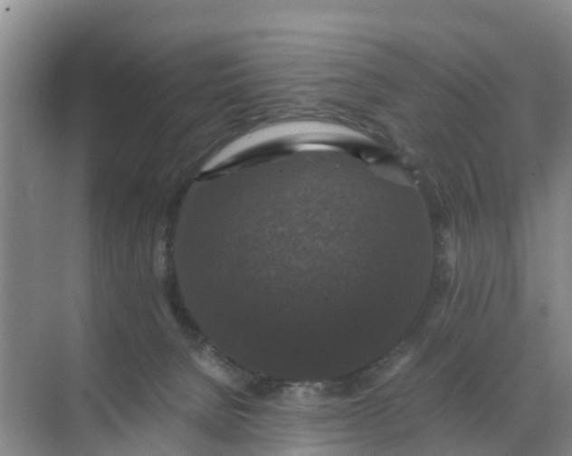 X0000071760080200607150013