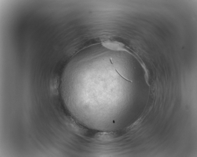 X0000071760082200607150013