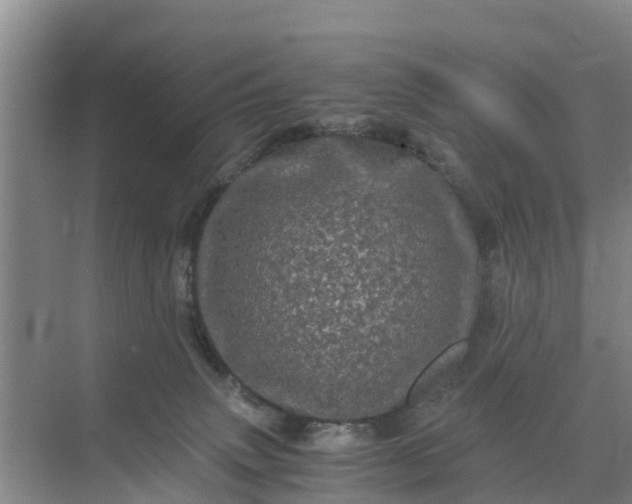 X0000071760083200607150013