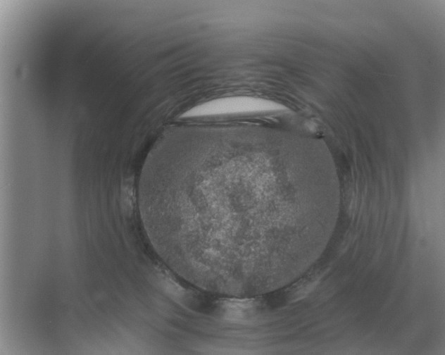 X0000071760085200607150013